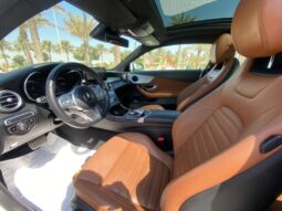 Mercedes Benz 300C 2019 full