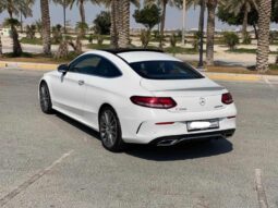 Mercedes Benz 300C 2019 full