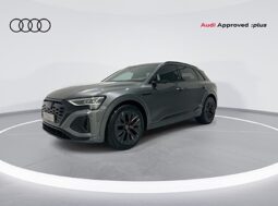 Audi Q8 e-tron Sportback 2024