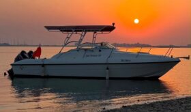 MasterCraft Sea Breeze 2005