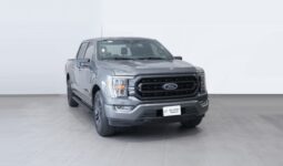 Ford F 150 2023 full