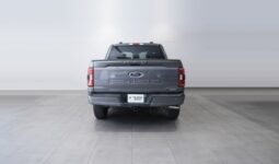 Ford F 150 2023 full