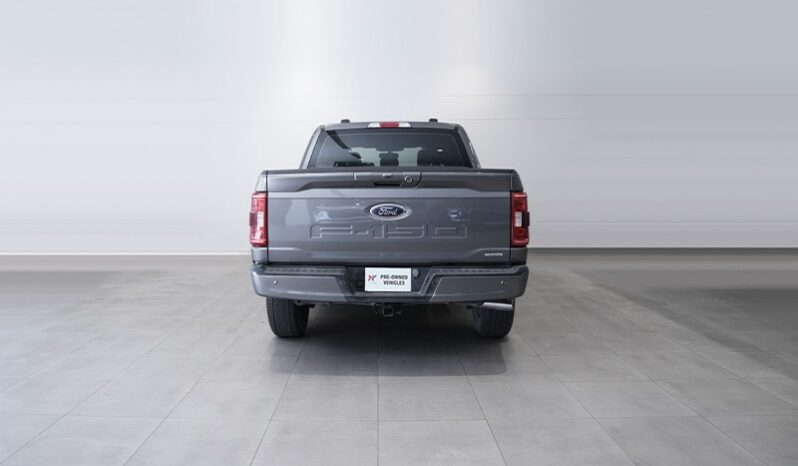 Ford F 150 2023 full