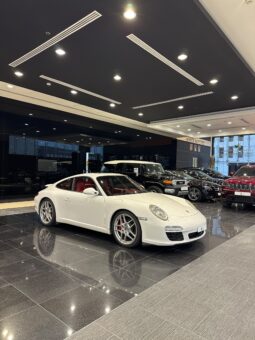 Porsche Carrara 911 Model 2010 full