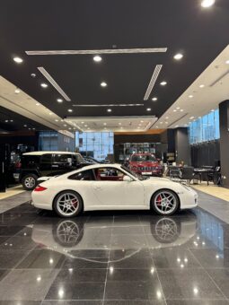 Porsche Carrara 911 Model 2010 full