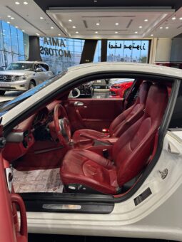 Porsche Carrara 911 Model 2010 full