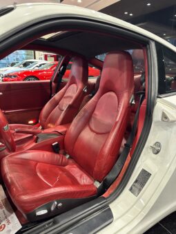 Porsche Carrara 911 Model 2010 full