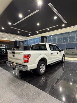 Ford F150 XLT Ecoboost Model 2019 full