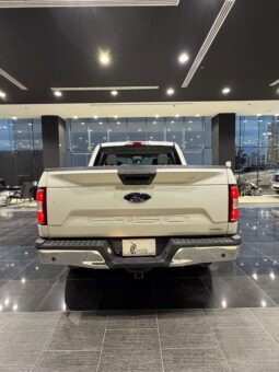 Ford F150 XLT Ecoboost Model 2019 full