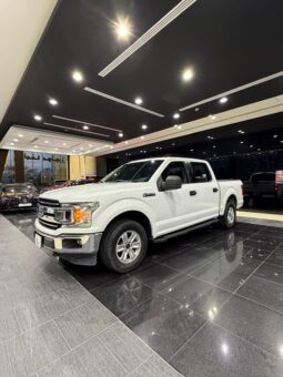 Ford F150 XLT Ecoboost Model 2019 full