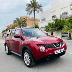 Nissan Juke 2013 full