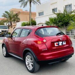 Nissan Juke 2013 full