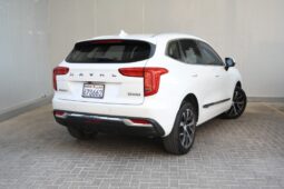 Haval Jolion 2024 full