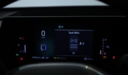 Ford Taurus 2024 full